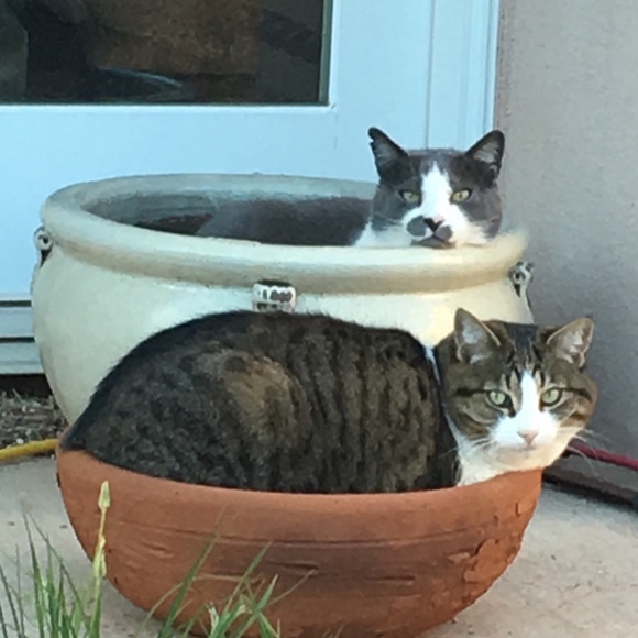 Riding forever! - Picture 5 of 7